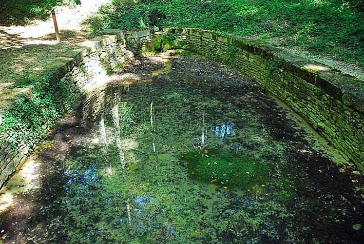 Site du Mausoée de Faverolles - fontaine de la Demoiselle