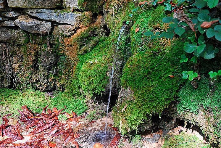 Site du Mausoée de Faverolles - fontaine de la Demoiselle
