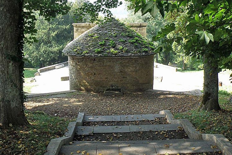 Fontaine de la grenouille à Langres