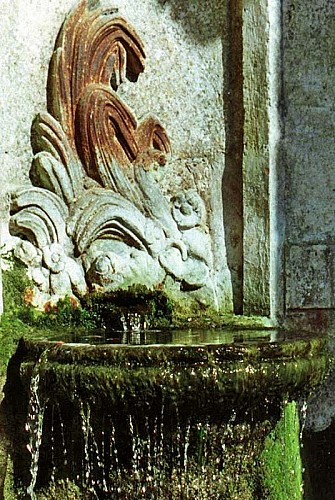 Fontaine de la grenouille à Langres