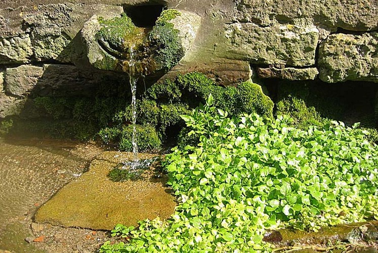 Fontaine du président à Langres