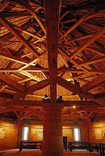 Tour de Navarre à Langres - salle de la charpente