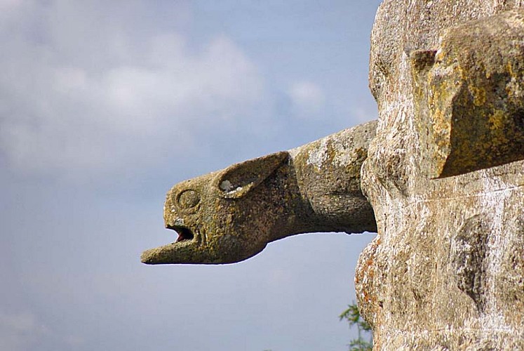 Tour de Navarre à Langres - gargouille