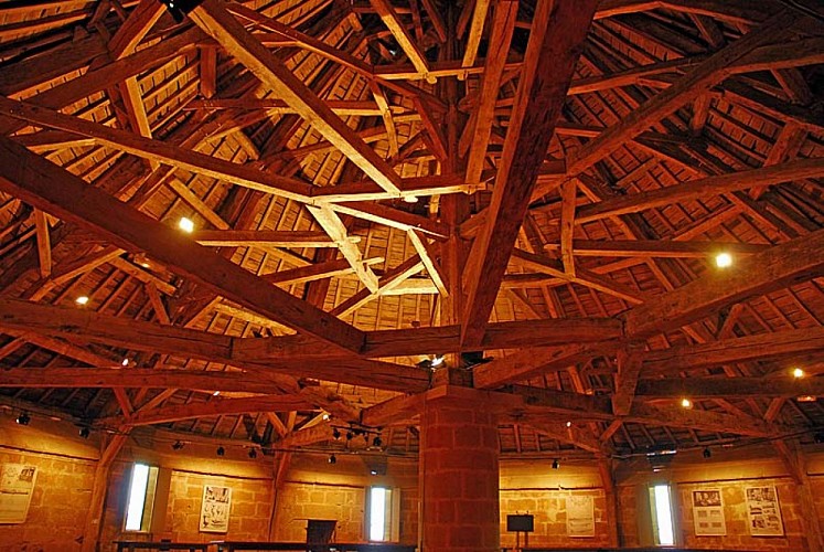 Tour de Navarre à Langres - salle de la charpente