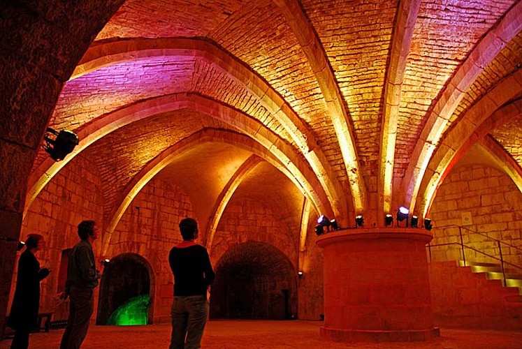 Tour de Navarre à Langres - salle basse