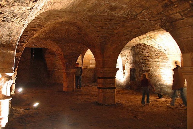 Maison Renaissance à Langres - les caves