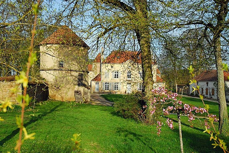 Château de Dampierre
