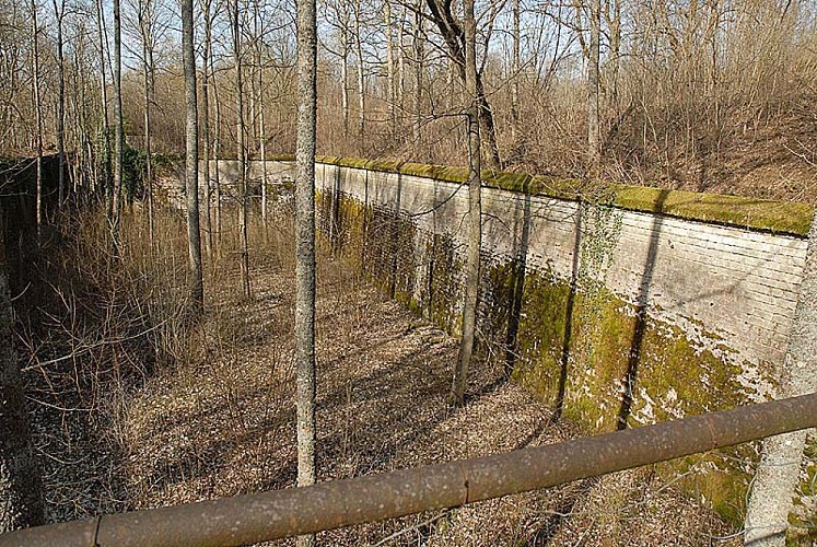 Fort de Peigney