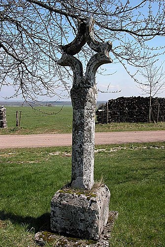 Croix romaine de Perrogney-les-Fontaines