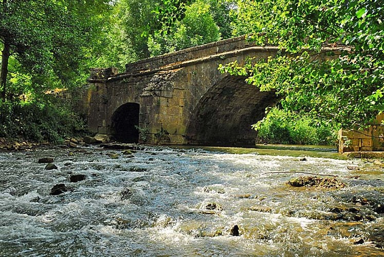 Pont Romain à Rolampont