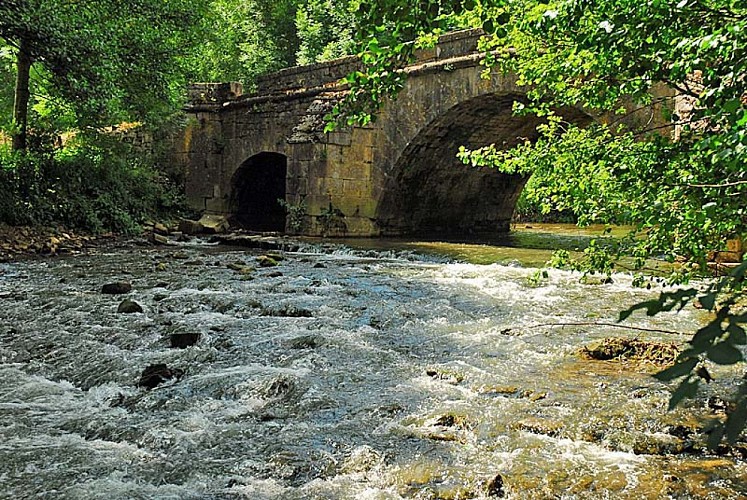 Pont Romain à Rolampont