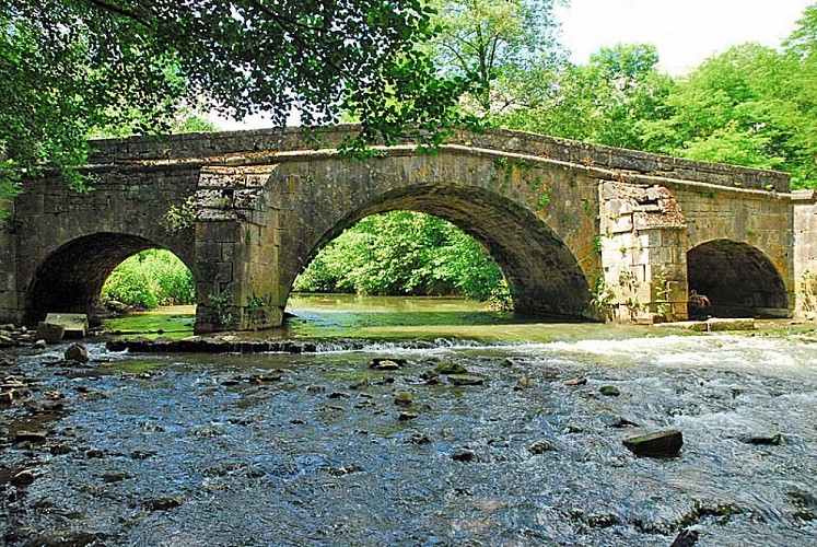 Pont Romain à Rolampont