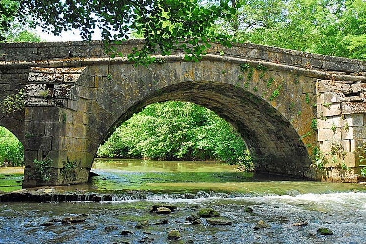 Pont Romain à Rolampont