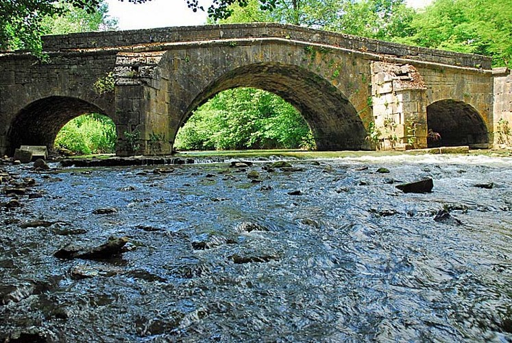 Pont Romain à Rolampont