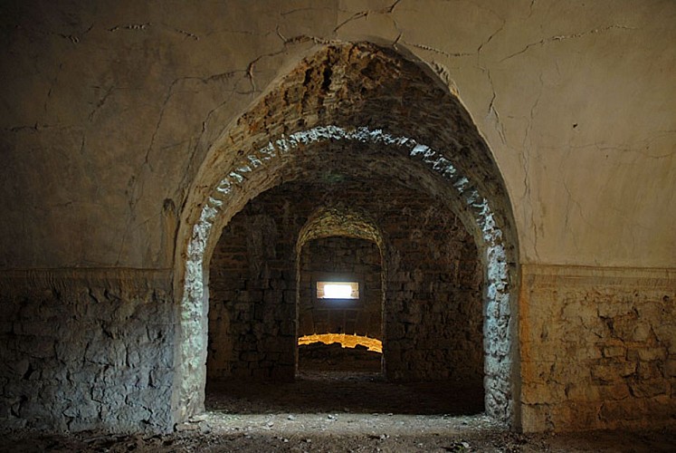 Fort de la pointe de diamant à Saint-Ciergues