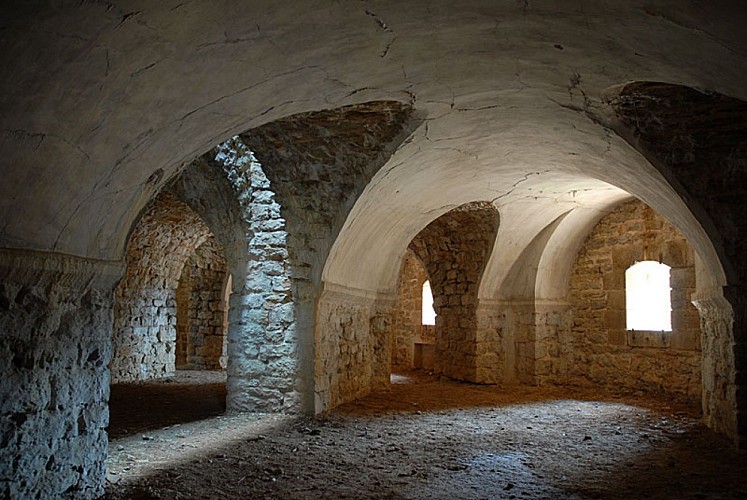 Fort de la pointe de diamant à Saint-Ciergues