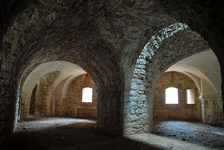 Fort de la pointe de diamant à Saint-Ciergues