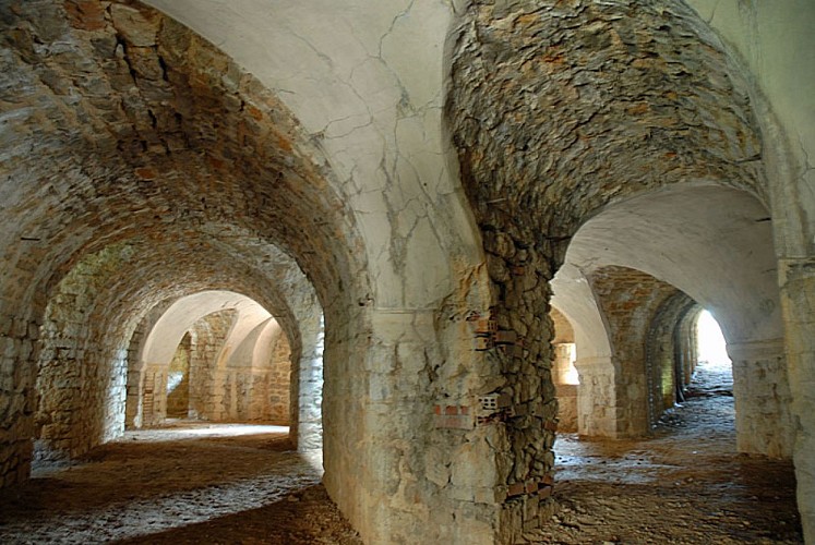 Fort de la pointe de diamant à Saint-Ciergues