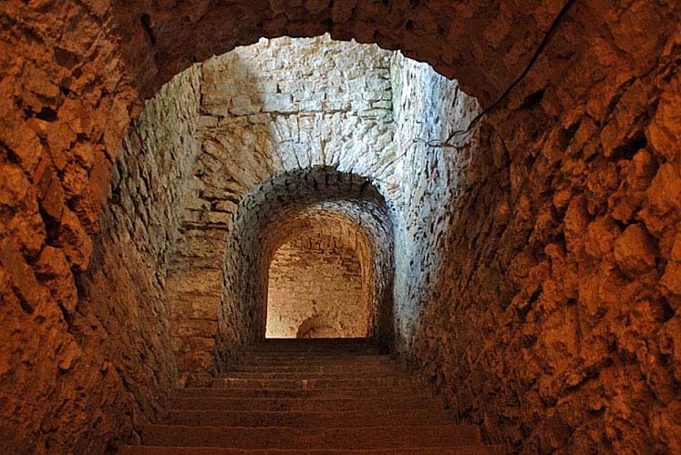 Fort de la pointe de diamant à Saint-Ciergues