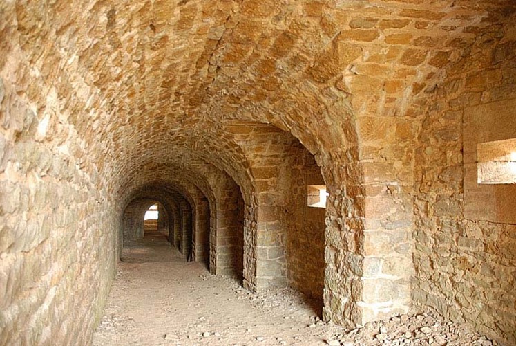 Fort de la pointe de diamant à Saint-Ciergues