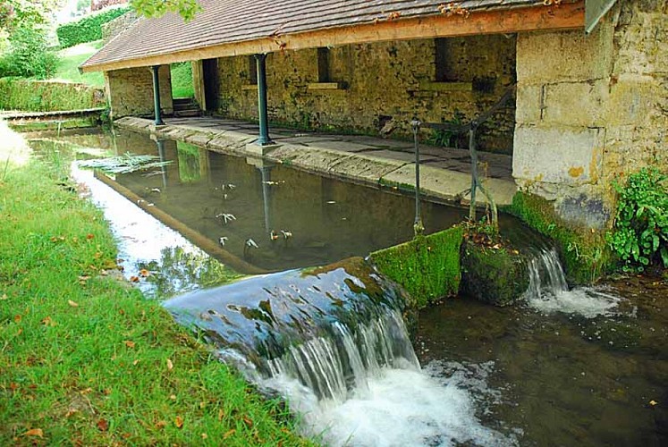 Lavoir de l'entre deux eaux à Auberive