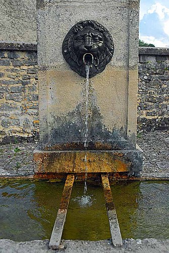 Fontaine d'Auberive