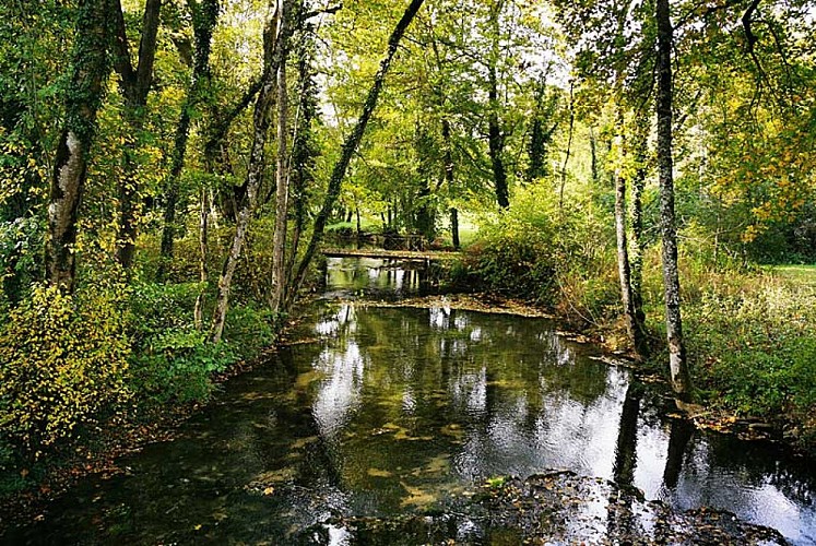 Pont Griselin près d'Auberive