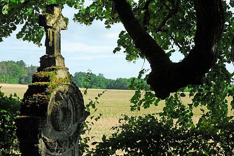 Cimetière de l'église d'Aubigny