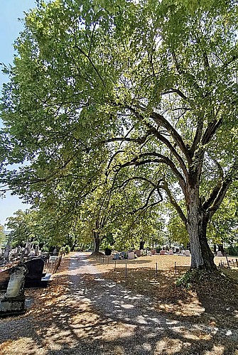 Cimetière de l'église d'Aubigny