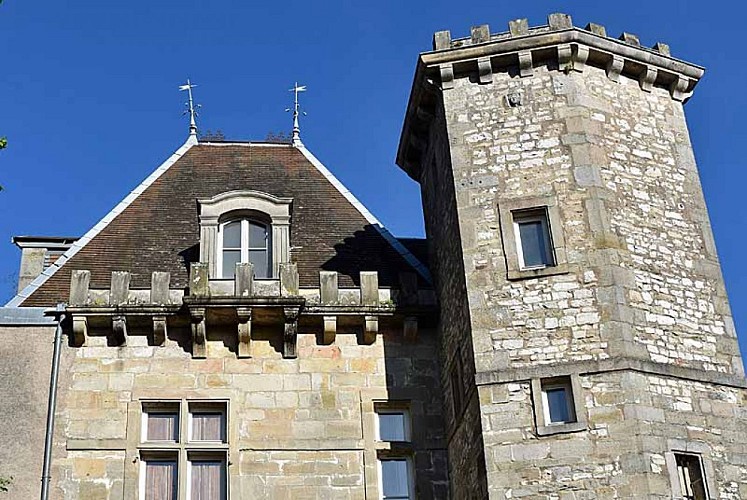 Château de Bourbonne-les-Bains