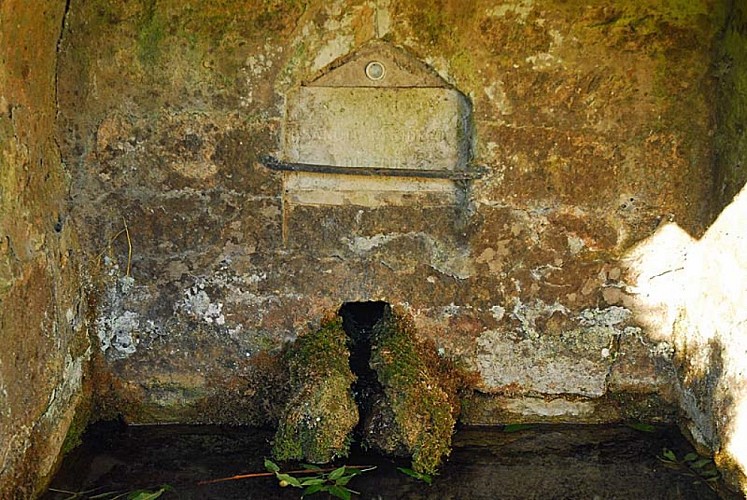 Fontaine Saint-Didier à Charmes