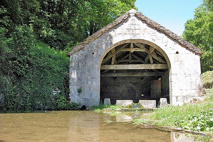 Fontaine Saint-Eloi à Chatoillenot