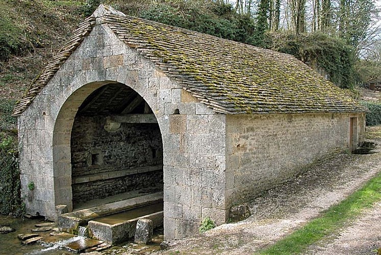 Fontaine Saint-Eloi à Chatoillenot