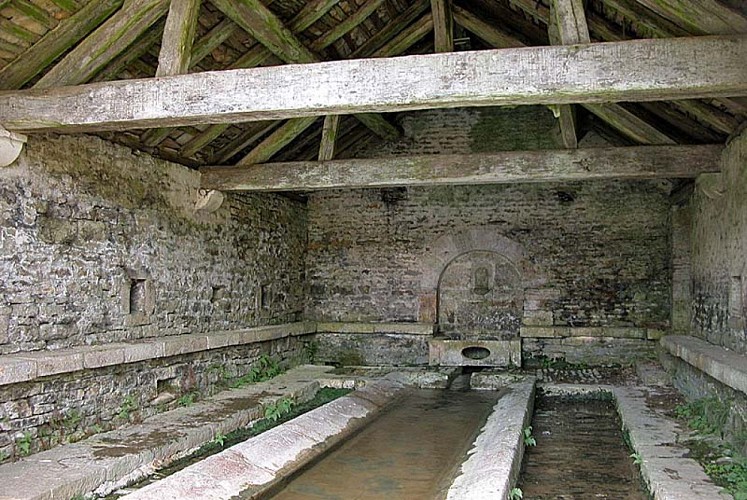 Fontaine Saint-Eloi à Chatoillenot