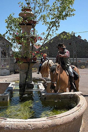 Fontaine à Chatoillenot