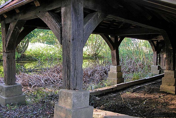 Lavoir de Dommarien