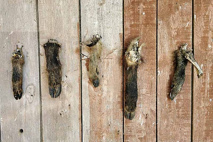 Ferme de chasseur à Lamargelle-aux-Bois
