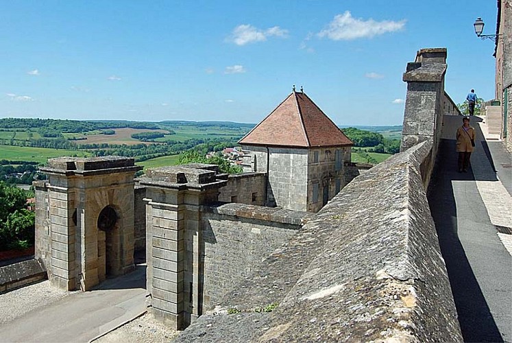 Porte del'Hôtel de Ville de Langres