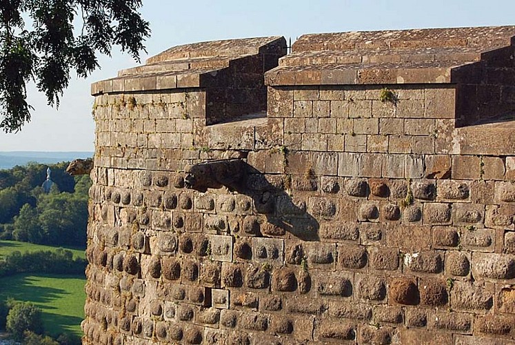 Tour du petit Sault à Langres
