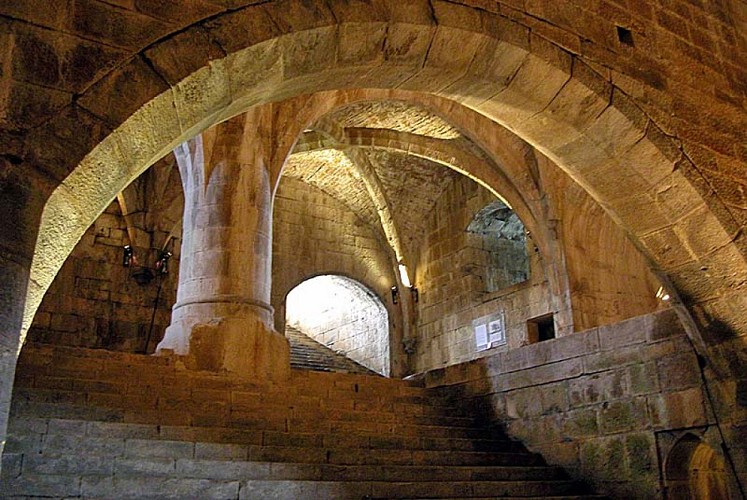 Tour du petit Sault à Langres