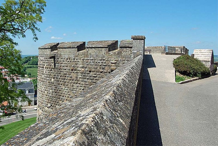 Tour du petit Sault à Langres