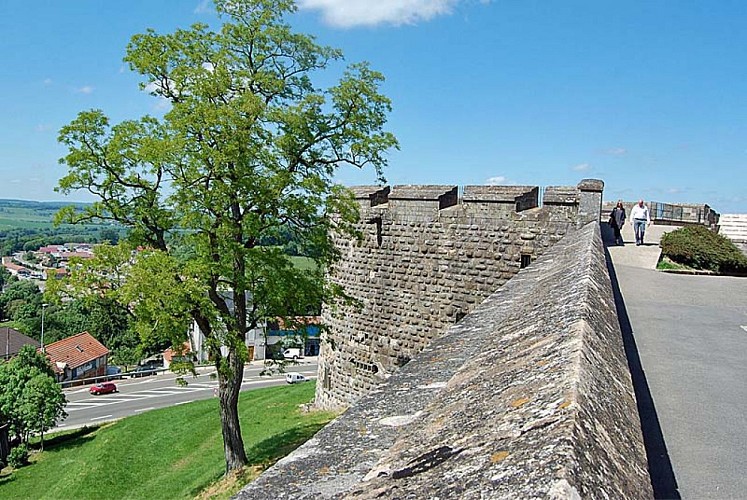 Tour du petit Sault à Langres