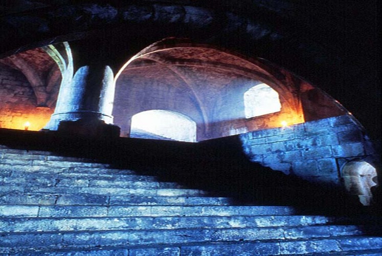 Tour du petit Sault à Langres
