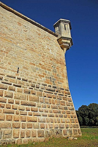 Tour Piquante à Langres
