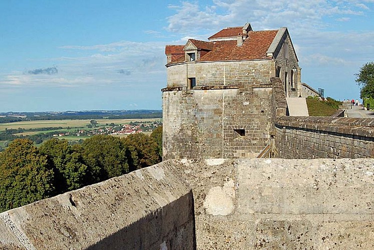 Tour Saint-Jean à Langres