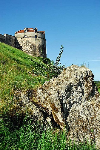 Tour Saint-Jean à Langres