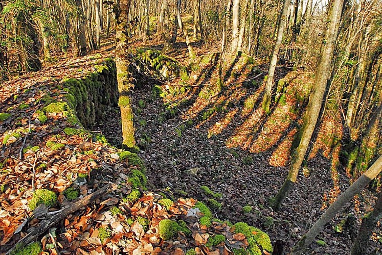 Amphithéâtre de Brevoines