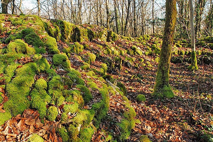 Amphithéâtre de Brevoines