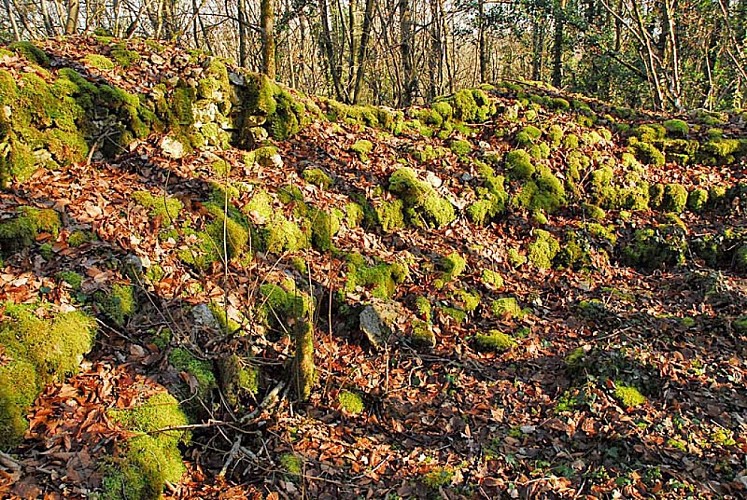 Amphithéâtre de Brevoines