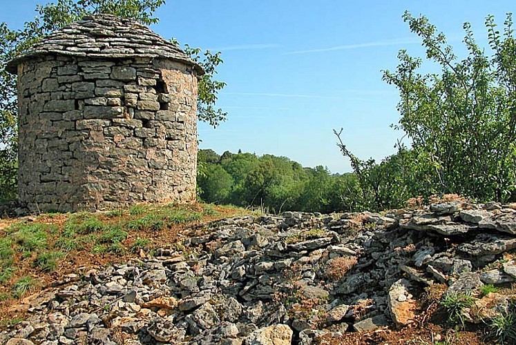 Chapelle de Chardonville près de Langres